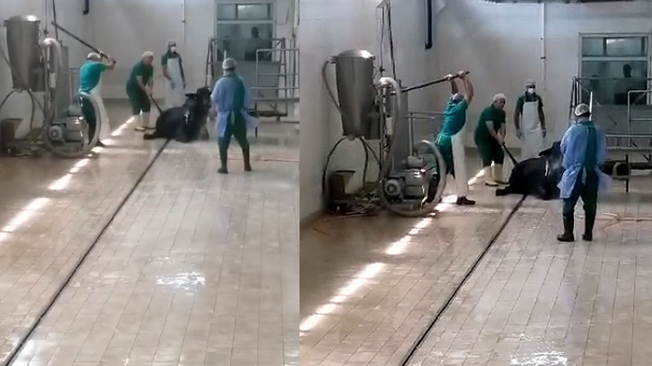 Adana'da Et Ve Süt Kurumu'nda Çalışan 2 Kişi Gözaltına Alındı