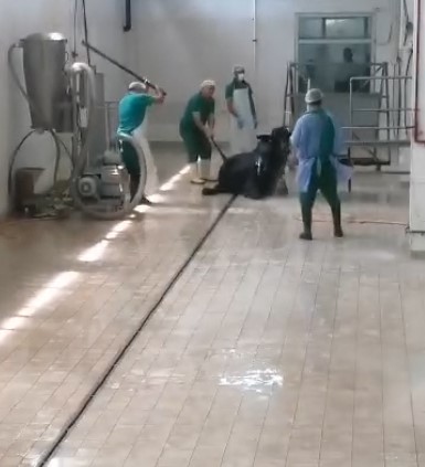 Adana'da Et Ve Süt Kurumu'nda Çalışan 2 Kişi Gözaltına Alındı