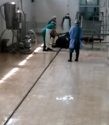 Adana'da Et Ve Süt Kurumu'nda Çalışan 2 Kişi Gözaltına Alındı
