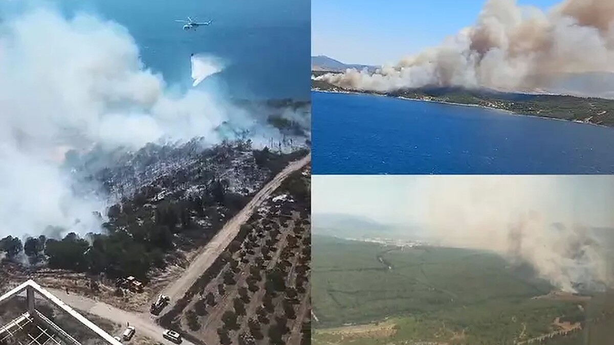 İzmir'de Yangın Alarmı: Vatandaşlar Tahliye Ediliyor!