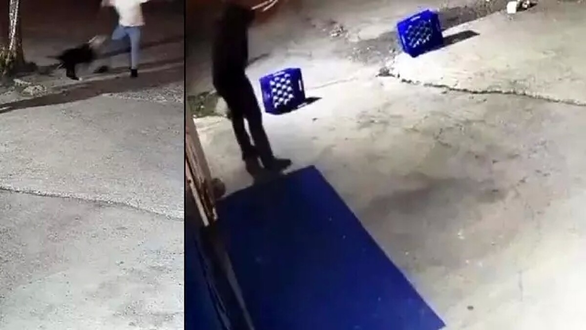 Karasu'da Yasaklı Köpek Dehşeti: Saldırdığı Adam Tarafından Vurularak Öldürüldü