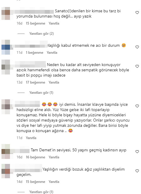 Demet Akalın, Takipçisinin "Yaşlanmışsın" Yorumuna Çıldırdı!