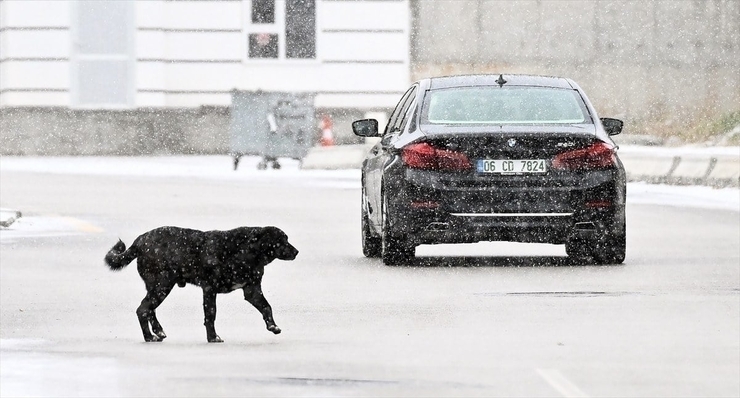 Ankara'da Kar Yağışı Devam Ediyor! Meteoroloji Uyardı...