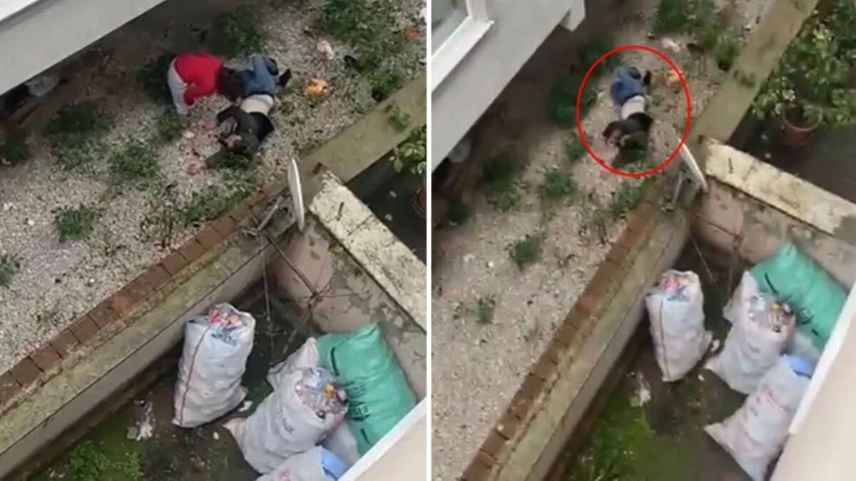 Aldatan Kocasını Balkondan Atıp Bağırdı!