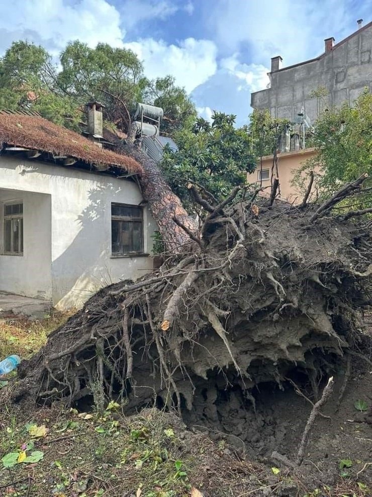Muğla'da Hortum Paniği! Gören Dehşete Kapıldı...