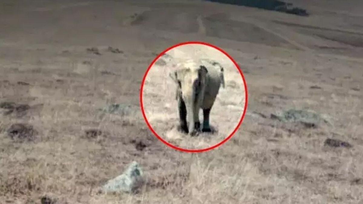 Ardahan'da Çekilen Film Fotoğrafına Valilikten Açıklama!