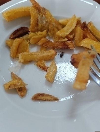 Kyk Yurtlarında Hijyen Sorunu Ve Fare İddiaları Gündemde