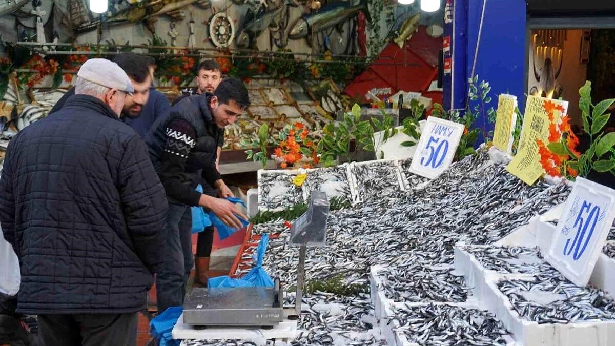 Hamsi Bolluğu Tezgahlara Yansıdı: Fiyatlar Yarı Yarıya Düştü!