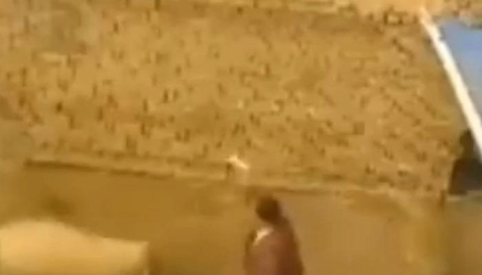 Çobanın Öldüren Ahırdaki Koç Çıktı! Koç Defalarca Kez Çobana Vurarak Öldürdü...