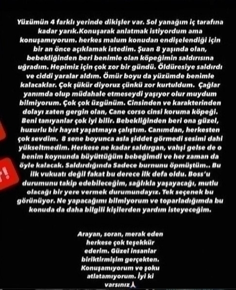 Fenomen Cansu Yeğin, Köpeği Tarafından Saldırıya Uğradı! Yüzünü Isırdı...