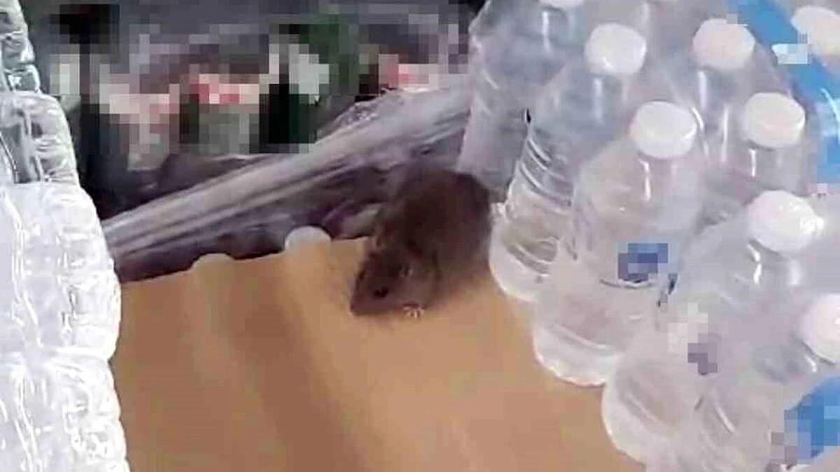 Sakarya'da Bim Marketinde Fare Şoku! Müşteri Cep Telefonu İle Çekti...