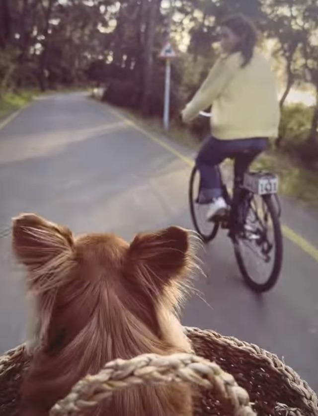 Oyuncu Aybüke Pusat, Ölen Köpeği İçin Veda Paylaşımı Yaptı
