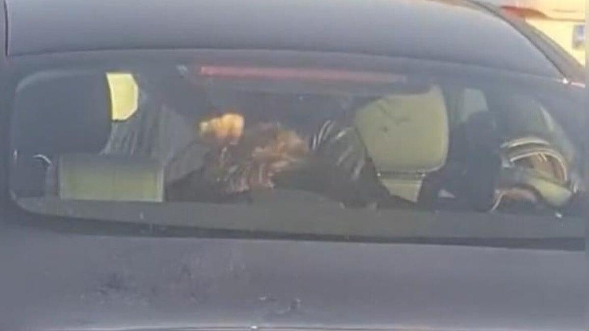 Sarıyer'de Lüks Otomobilde Kadına Şiddet! Engelli Çocuğunun Yanında Dövdü...