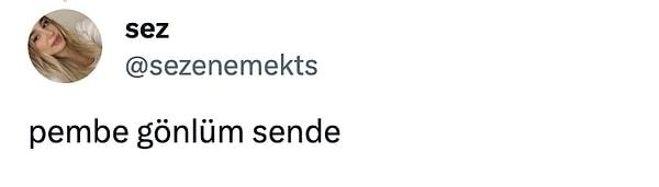 Yıldız Tilbe'ye Pembe Kombini İle Gülşen Benzetmesi!