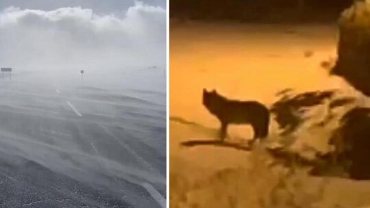 Ardahan'da Kar Yağışı Etkisini Yitirdi, Soğuk Hava Hakim. Göle İlçesi Türkiye'nin...