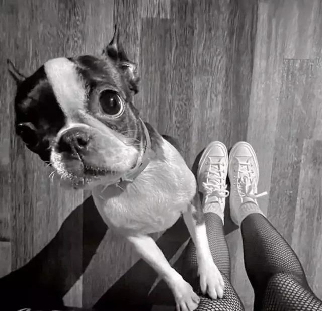 Uraz Kaygılaroğlu Ve Sayna Soleimanpour Yeniden Aşk Yaşıyor!