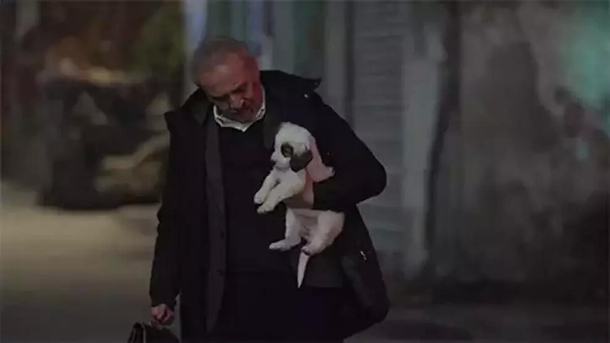 Yılmaz Erdoğan, Coci'yi Sahiplenerek İnci Taneleri Kadrosuna Kattı!