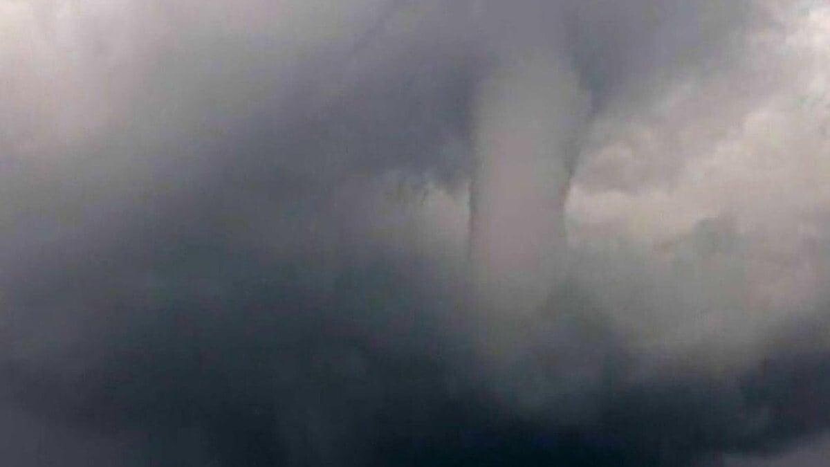 Hatay'da Hortum Ağaçları Yerinden Söktü!