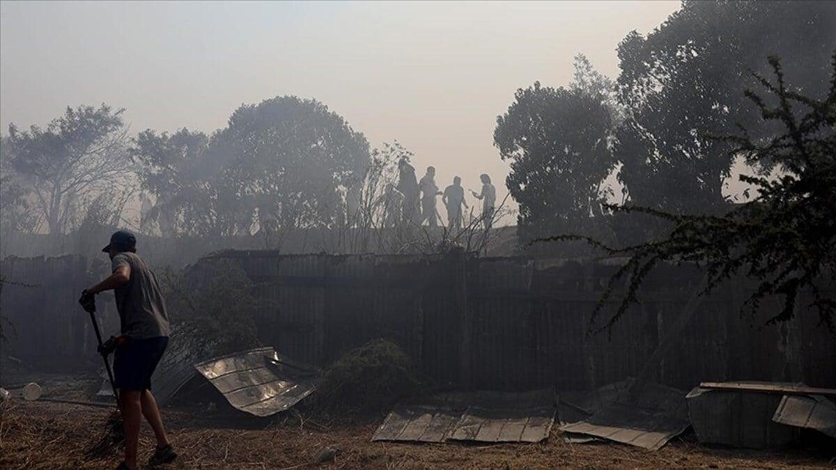 Şili'de Orman Yangını Ölüm Saçtı! Can Kaybı Arttı...