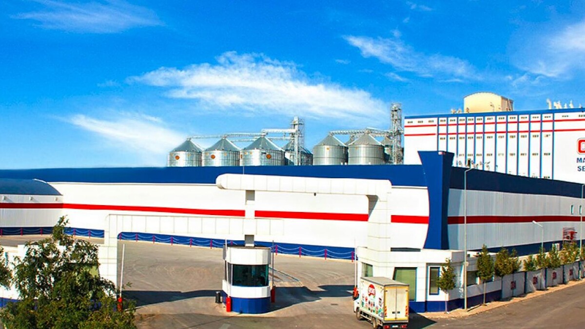 Oba Makarna Halka Arz Oluyor! Spk Onayı Geldi...