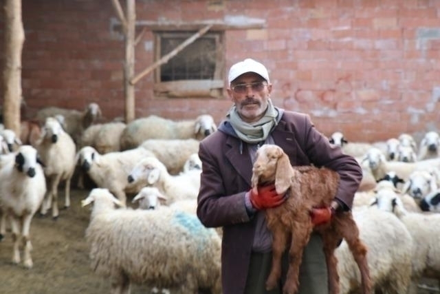Aydın Battal, Yerel Seçimlerden Sonra Gönül Dağı Dizisinin Kadrosuna Katıldı
