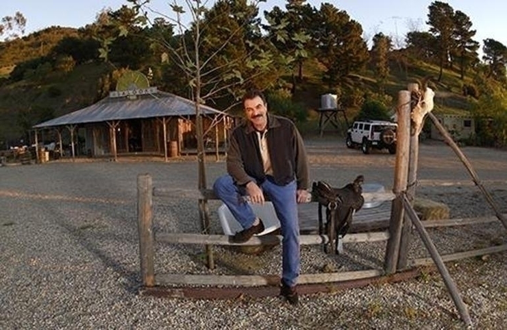 Tom Selleck: Hollywood'un Unutulmaz Yüzü Artık Bir Çiftçi