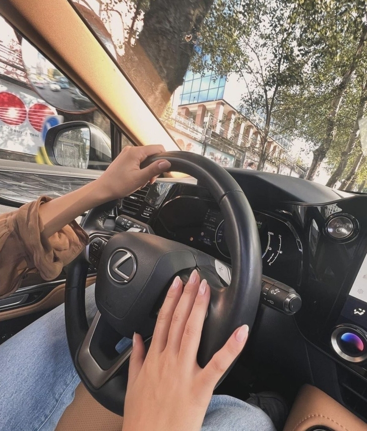 Aybüke Pusat, Alkollü Araç Kullanırken Yakalandı