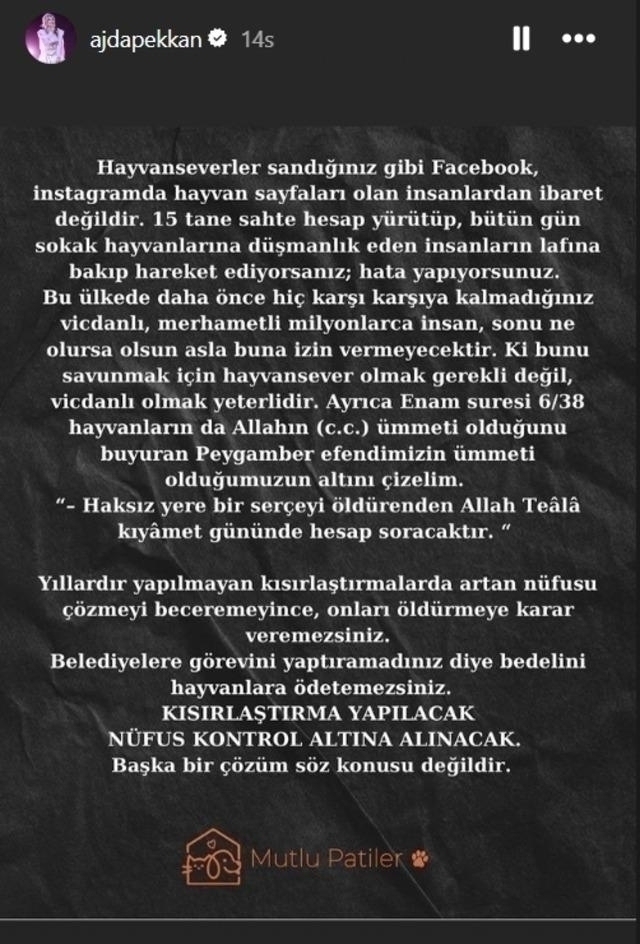 Ajda Pekkan'dan Çarpıcı Sokak Hayvanları Tepkisi: Hata Yapıyorsunuz