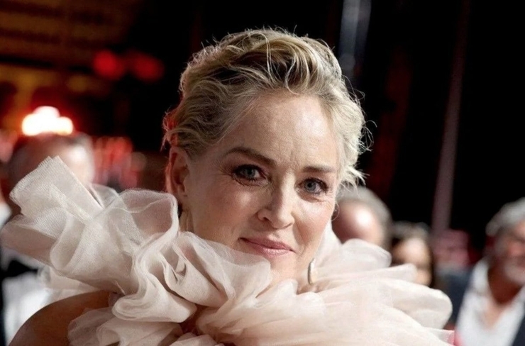 Sharon Stone, Kurtlar Vadisi Setinde İngilizce Sorunu Yaşadı