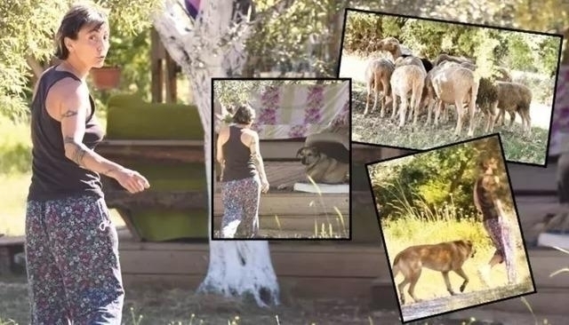 Özlem Tekin'in Londra'ya Taşındığı İddiaları Gündemde