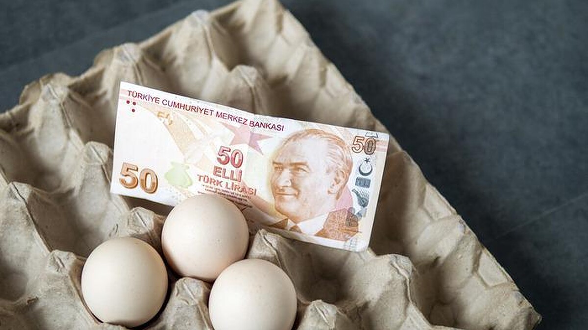 Tüik Başkanı Eleştirilere Cevap Verdi: Veri Silme İddiaları Gündemde