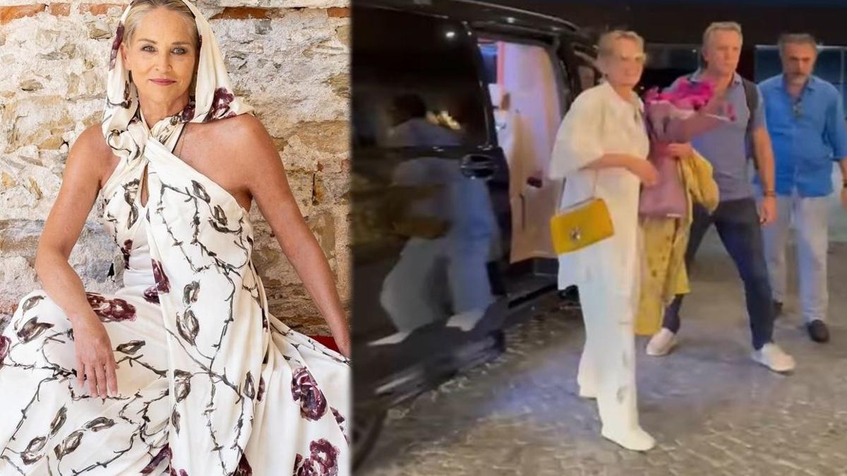 Sharon Stone İstanbul'da otelde resim yaparak gününü geçirdi, 'Kurtlar Vadisi'ni övdü