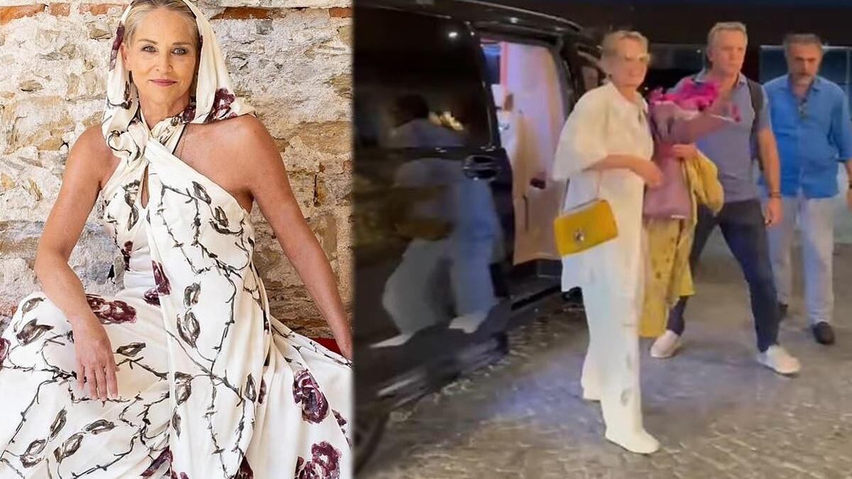 Sharon Stone İstanbul'da otelde resim yaparak gününü geçirdi, 'Kurtlar Vadisi'ni övdü