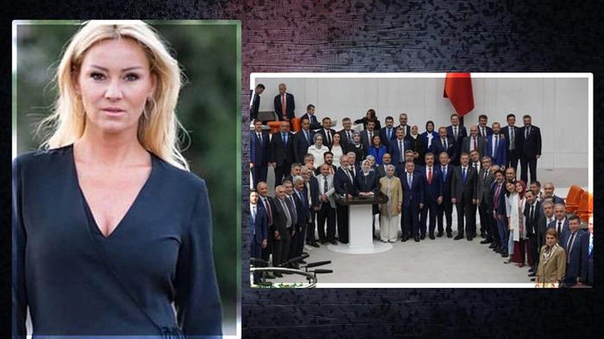 Sokak Hayvanlarını Koruma Teklifi TBMM'de Kabul Edildi, 5. Madde Tepki Topladı