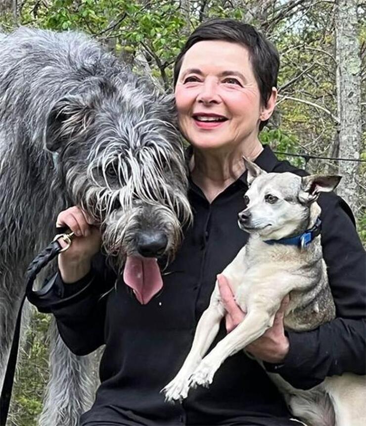 Isabella Rossellini'nin Çiftlik Hayatı ve Yumurtaların Çalınması Aksiyon Dolu Bir Hikaye!