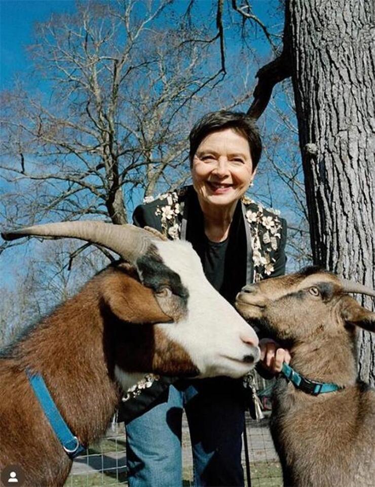 Isabella Rossellini'nin Çiftlik Hayatı ve Yumurtaların Çalınması Aksiyon Dolu Bir Hikaye!