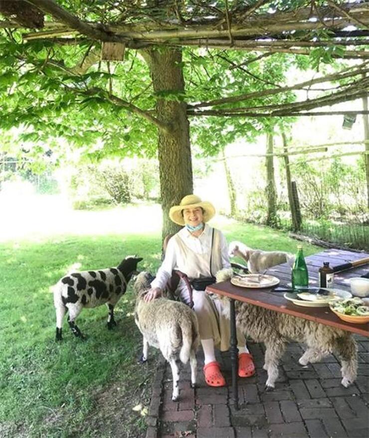 Isabella Rossellini'nin Çiftlik Hayatı ve Yumurtaların Çalınması Aksiyon Dolu Bir Hikaye!