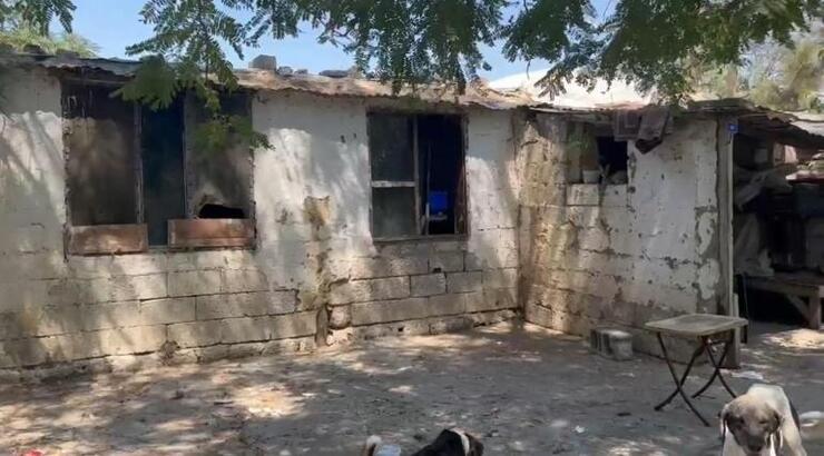 Gül Avalan'ın Zor Günleri: Arazisi İşgal Edildi, Oğlu Darp Edildi ve Depremle Sınandı!