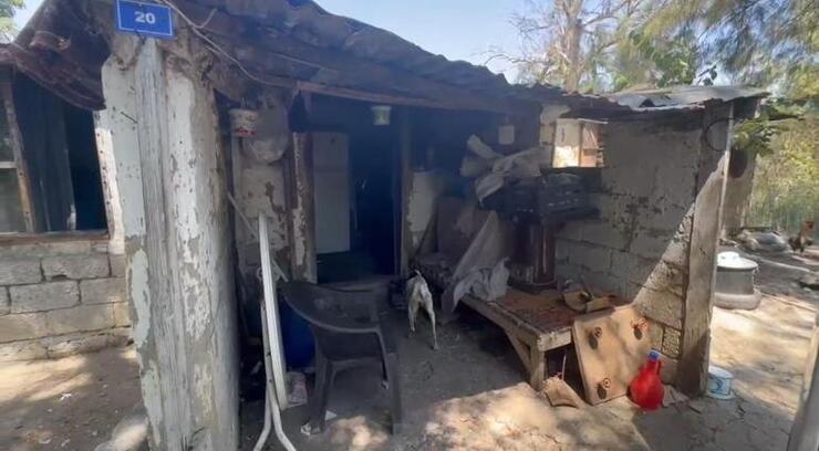 Gül Avalan'ın Zor Günleri: Arazisi İşgal Edildi, Oğlu Darp Edildi ve Depremle Sınandı!
