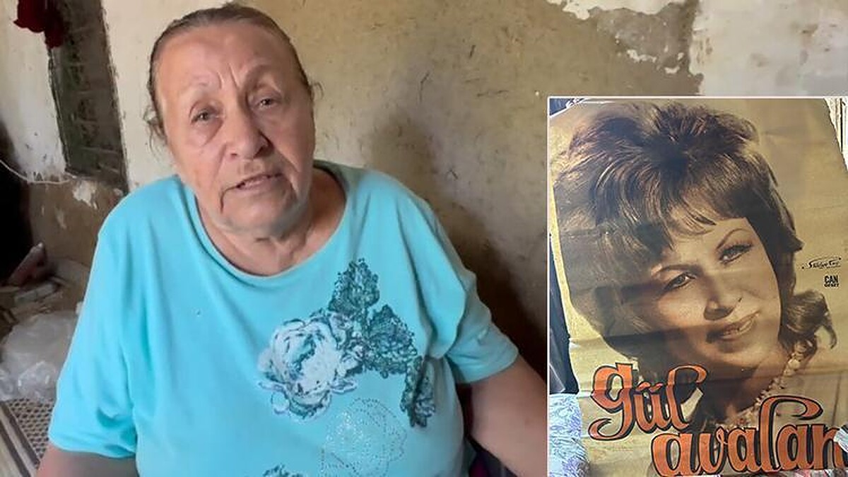 Gül Avalan'ın Zor Günleri: Arazisi İşgal Edildi, Oğlu Darp Edildi ve Depremle Sınandı!