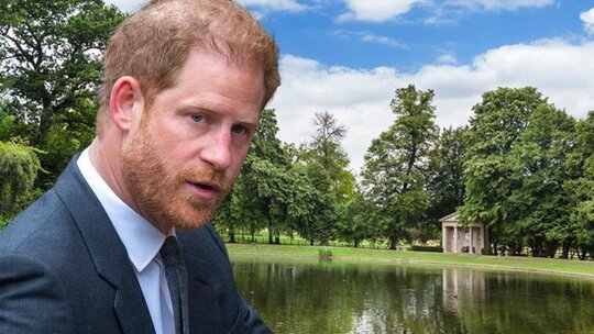 Prens Harry, Londra'da Ailesinden Uzakta Annesinin Mezarı Başında İzole Bir Ziyaret Gerçekleştirdi