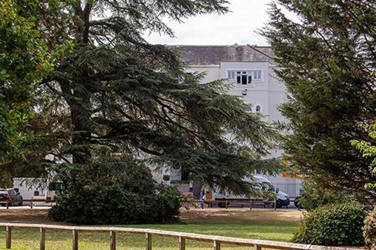 "Prens William ve Prenses Kate'in Yatak Odasında Cocker Spaniel Orla'nın Şaşırtan Varoluşu"