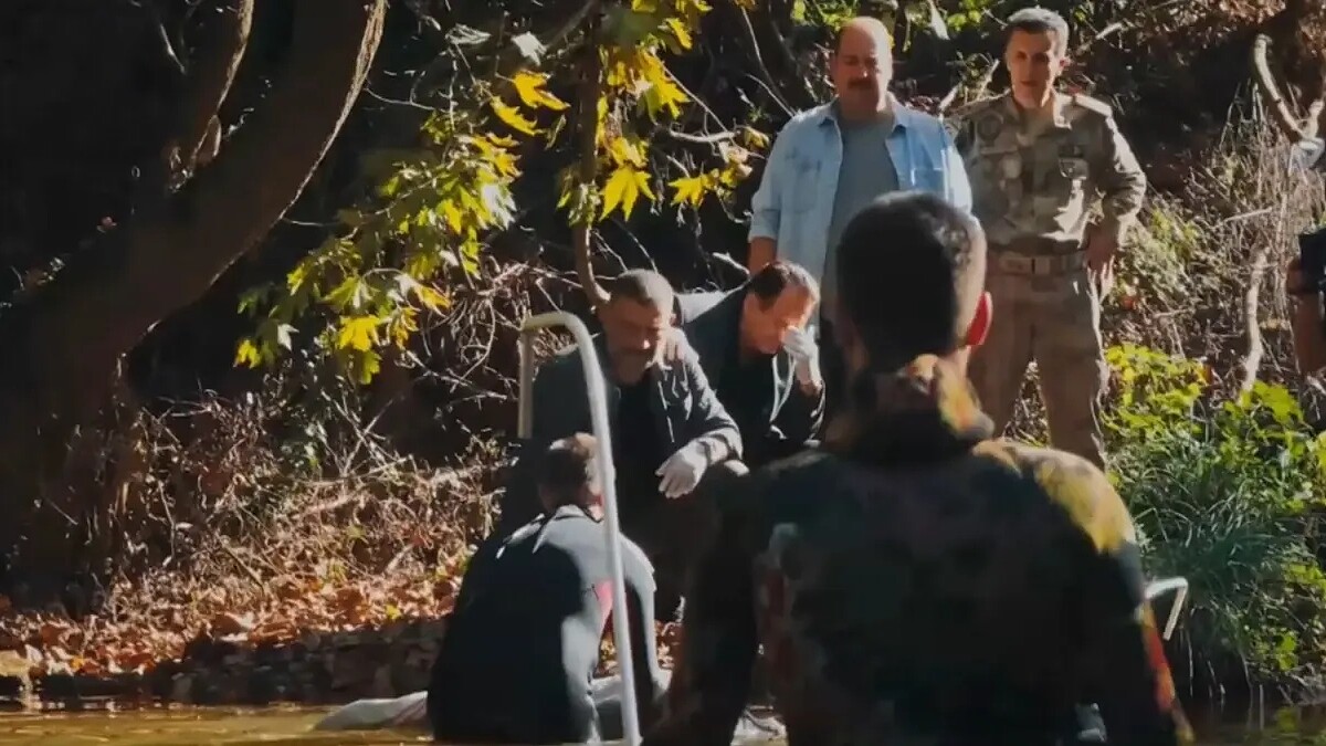 Arka Sokaklar'da Narin Sahnesi Tartışma Yarattı, İzleyiciler İkiye Bölündü