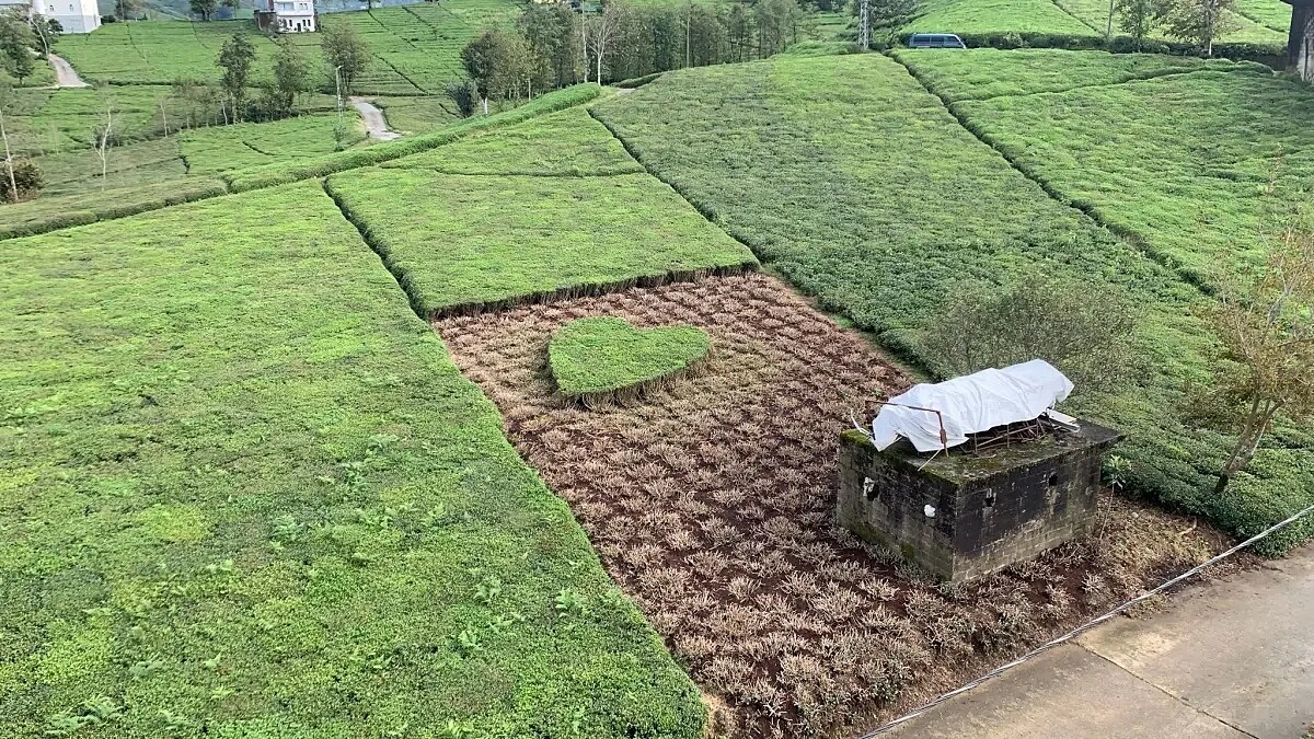 Çay Bahçesinde Kalp Şeklinde Sürpriz: Osman Öztürk’ten Eşine Romantik Jest