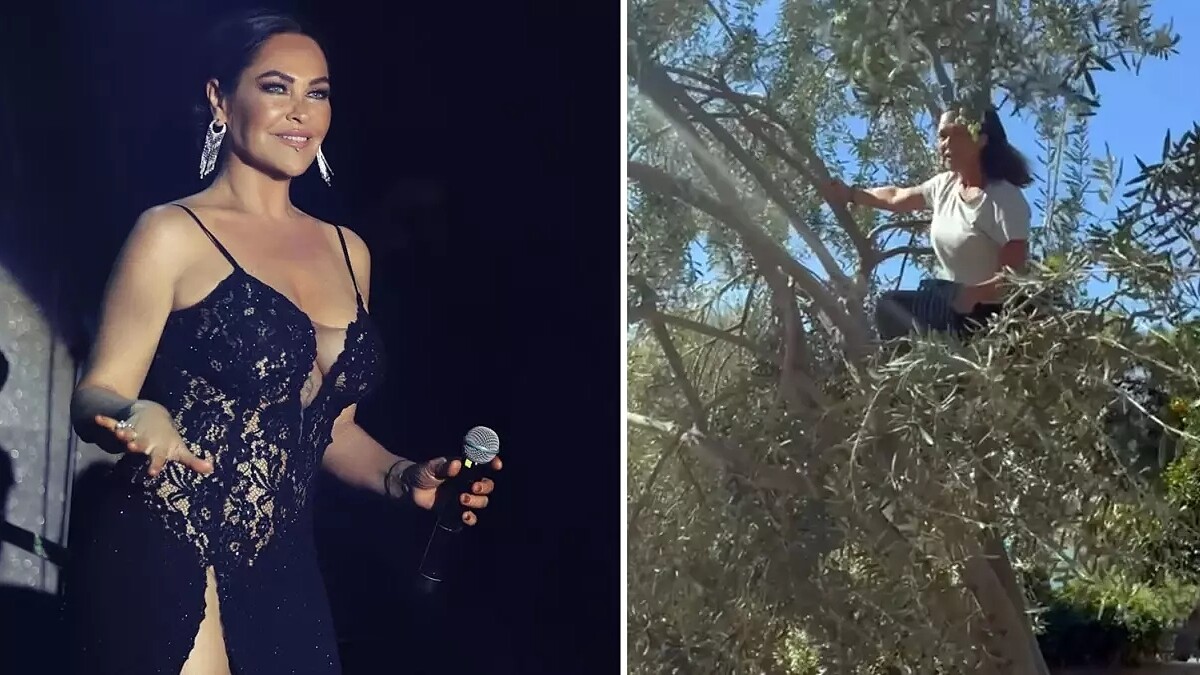 Hülya Avşar Zeytin Hasadında Doğal Ürünlerin Önemine Dikkat Çekti