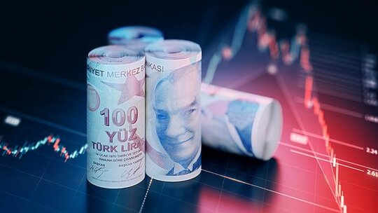 2024 Kasım Dönemi Merkez Bankası Anketi: Dolar ve Enflasyon Beklentileri Artış Gösterdi
