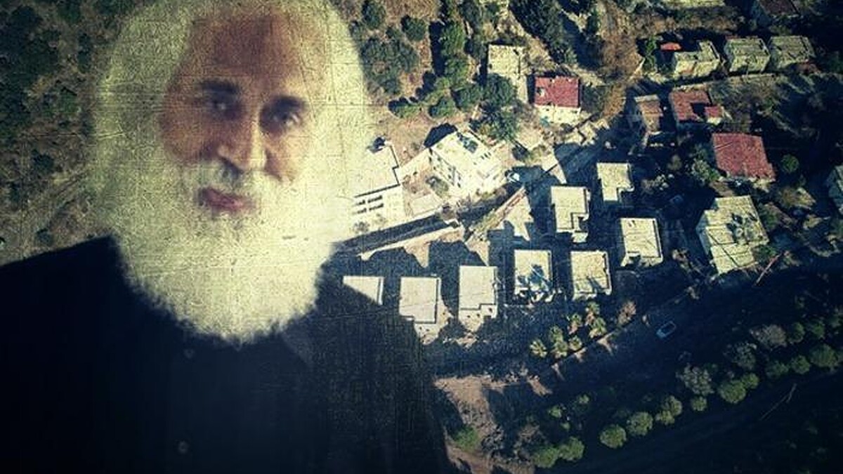 Bodrum'da 8 Villa İçin 40 Ağaç Kesildi, Suavi'nin Projesi İmar İncelemesine Tabi Tutuluyor