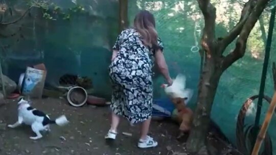 Kelly Brook'un Çiftlik Hayatında Yaşadığı Zorluklar: Tavuklarla Savaşını Anlattı