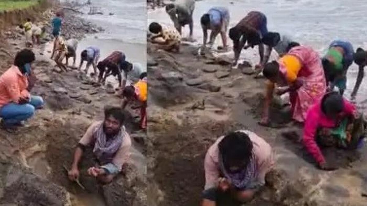 Altın parçaları plajı süsledi! Vatandaşlar hazine arayışında birbirleriyle yarıştı