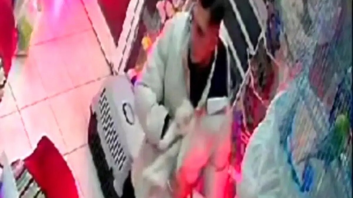 İzmir'de Papağan Alırken Kedi Çalan Ailenin Hırsızlık Anı Güvenlik Kamerasında